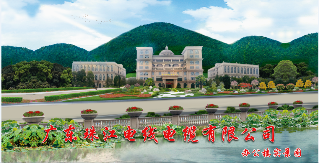 宝武钢铁集团向导专家莅临尊龙凯时电缆旅行交流