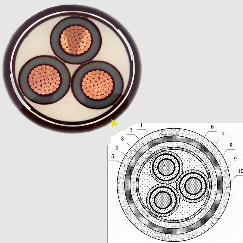 【尊龙凯时电缆】一文带您相识一下中压电缆