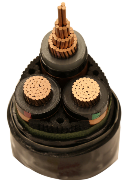 尊龙凯时·(中国游)官方网站