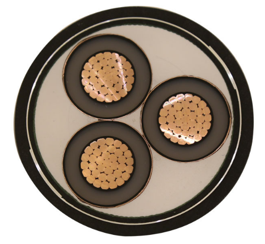 尊龙凯时·(中国游)官方网站